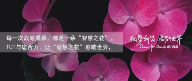 家（IKEA）的全球化历程、品牌战略与启示j9九游真人游戏第一平台从小镇走向世界